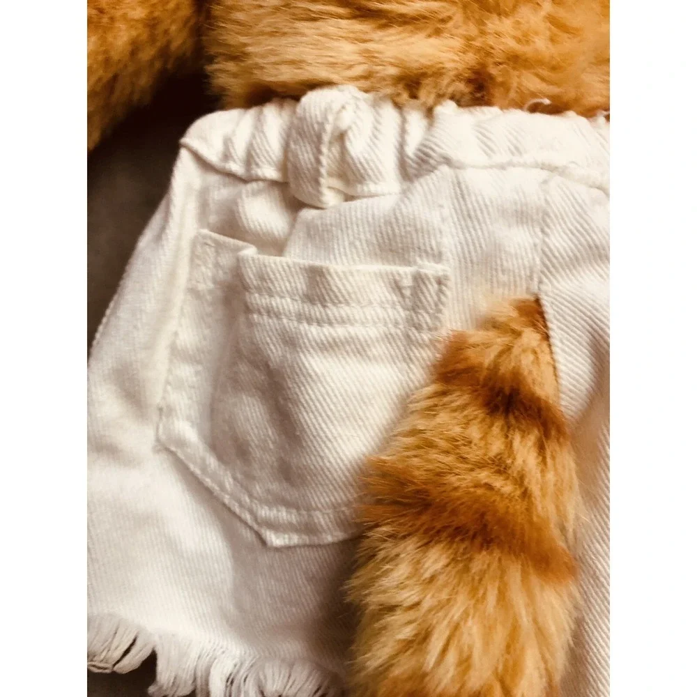 Vintage 2002 Build A Bear Orange Cat With Outfit Sketchers‎ Shoes BABW